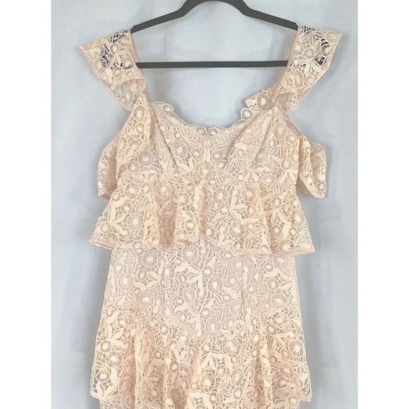 AMUR Pink Lace Hayden Midi Formal Dress $695 - Picture 6 of 15